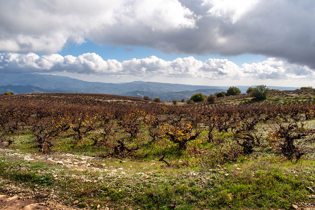 Vouni-path 27 vouni-path_27