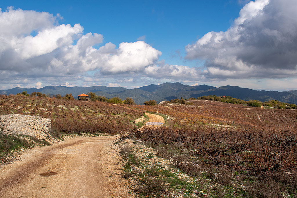 Vouni-path 28 vouni-path_28