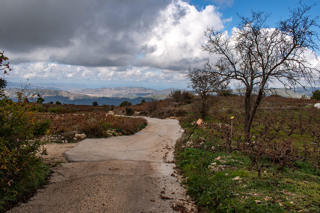 Vouni-path 38 vouni-path_38