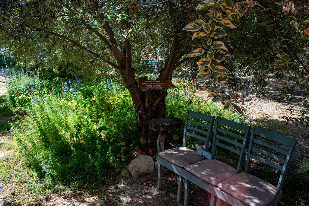Avli-tis-nefelis 24 avli-tis-nefelis_24
