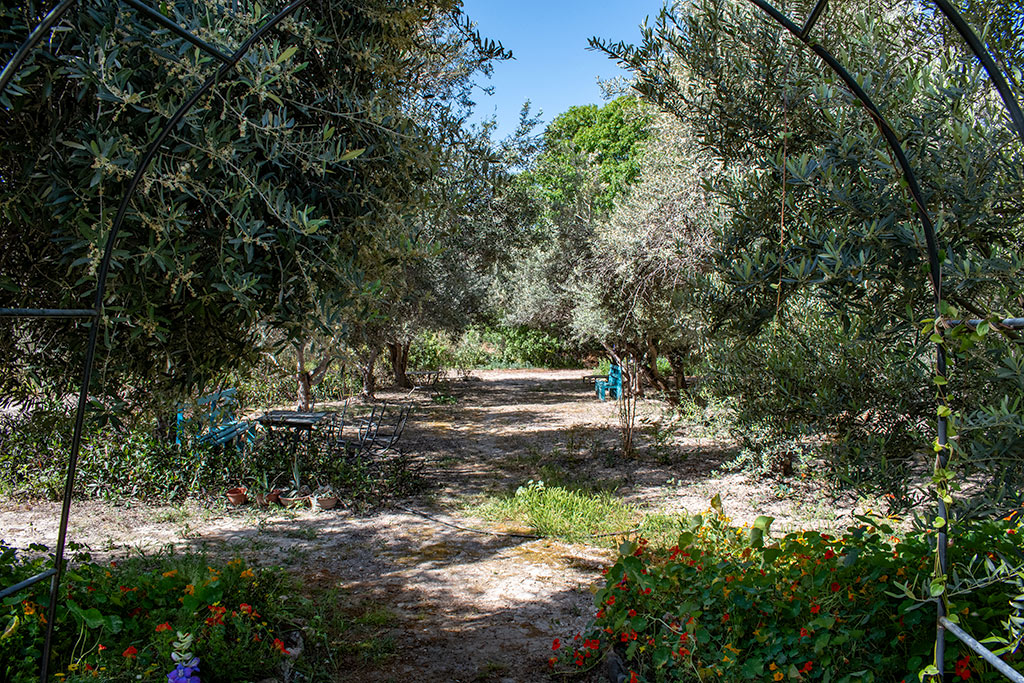 Avli-tis-nefelis 25 avli-tis-nefelis_25