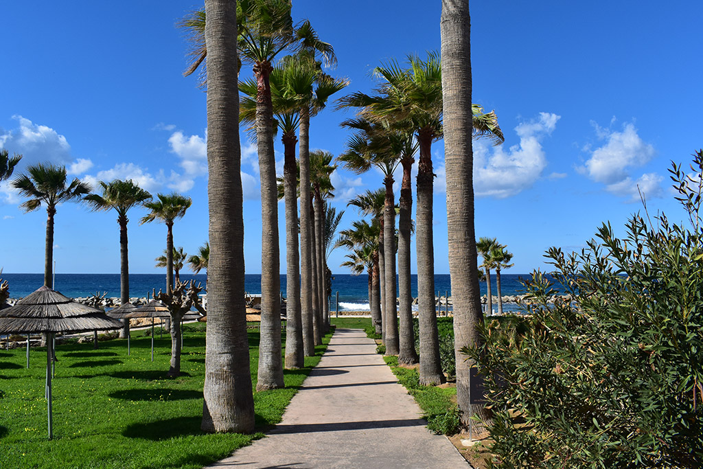 chloraka-coast-path-part-2_29