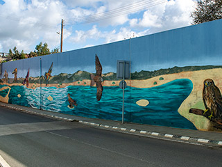 Mandria Murals