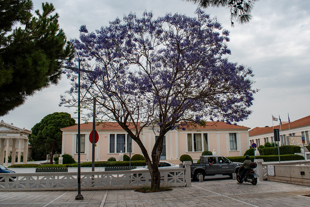 Municipal-park-renovations 09 municipal-park-renovations_09