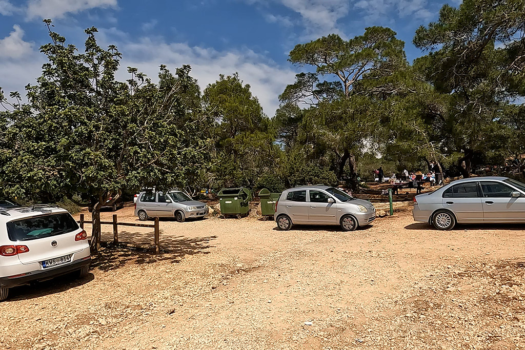 paphos-celebrates-green-monday_01