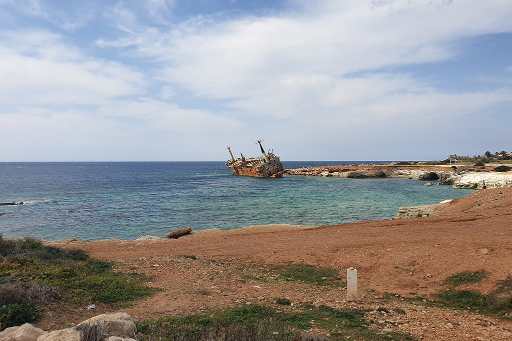 paphos-celebrates-green-monday_12
