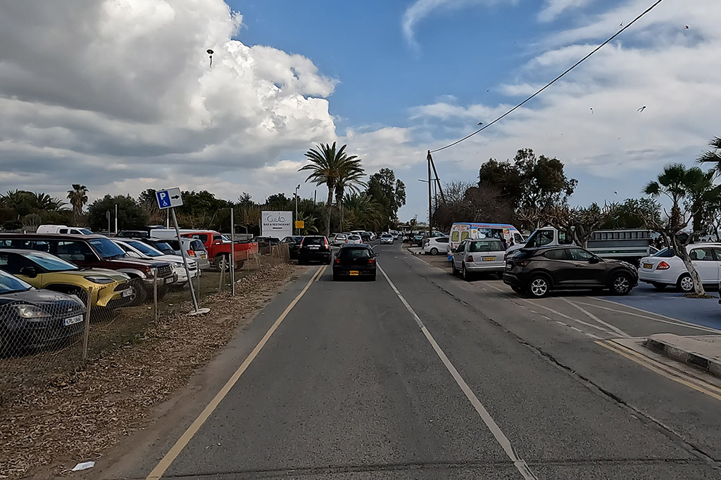 Paphos-celebrates-green-monday 27 paphos-celebrates-green-monday_27