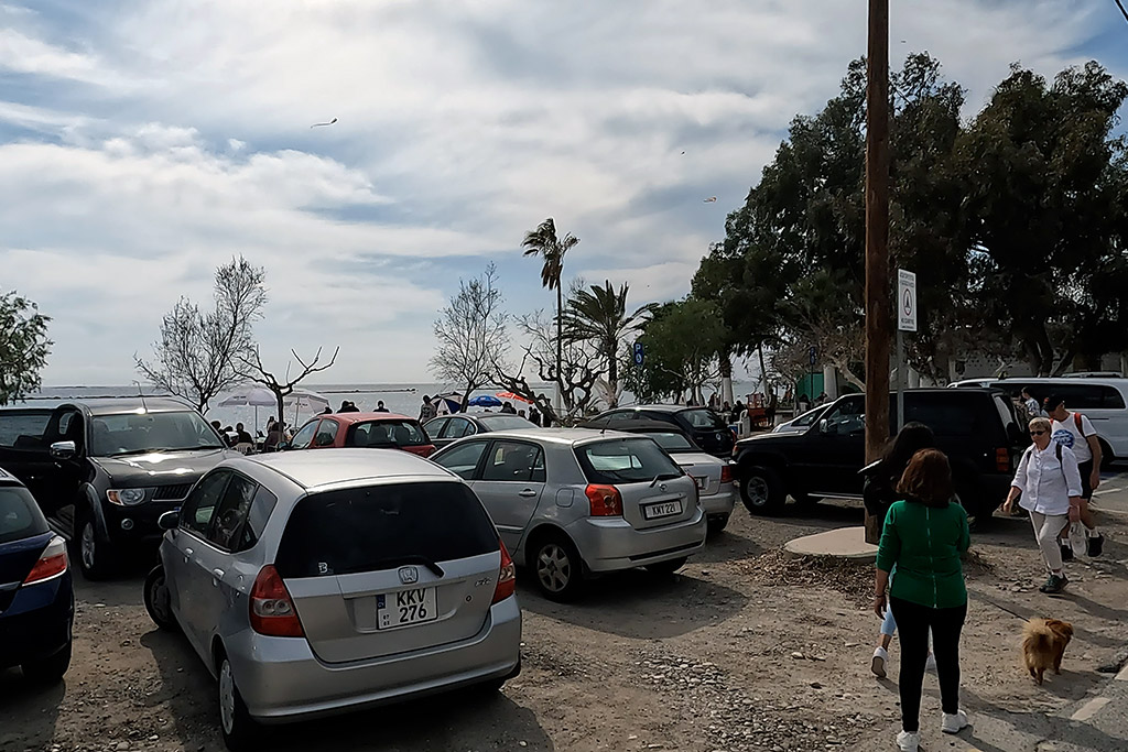 Paphos-celebrates-green-monday 30 paphos-celebrates-green-monday_30