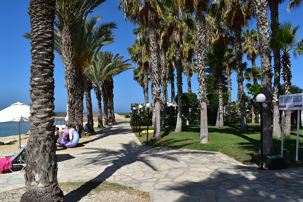 paphos-coast-path-2024-01_11