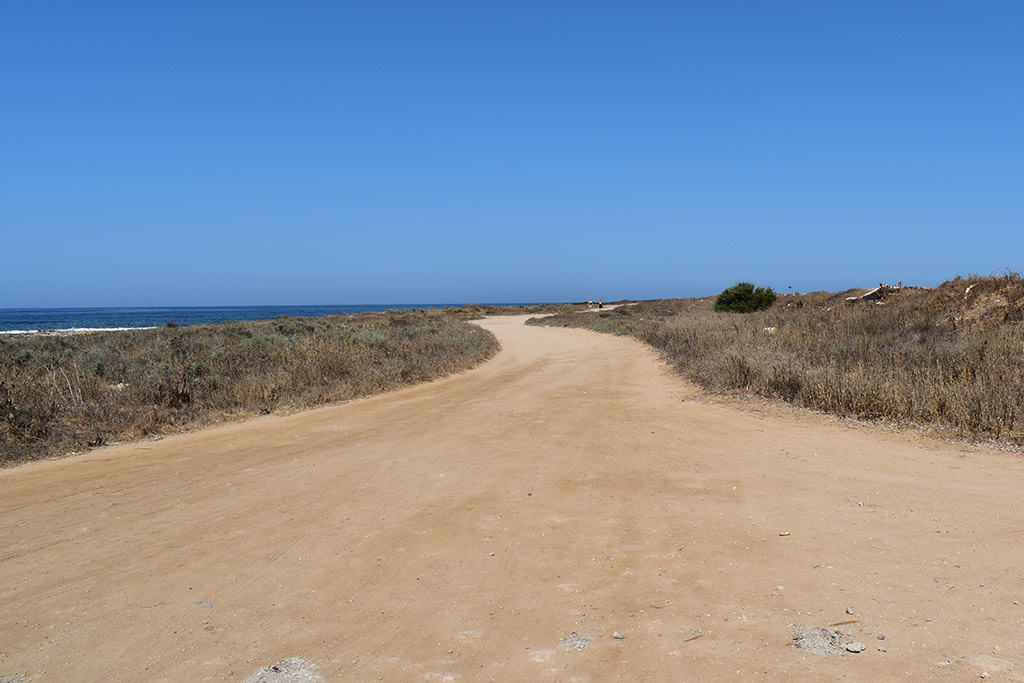 paphos-coast-path-2024-01_16