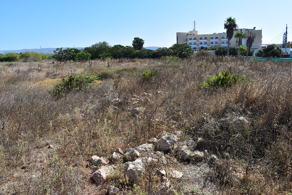 Paphos-coast-path-2024-01 17 paphos-coast-path-2024-01_17