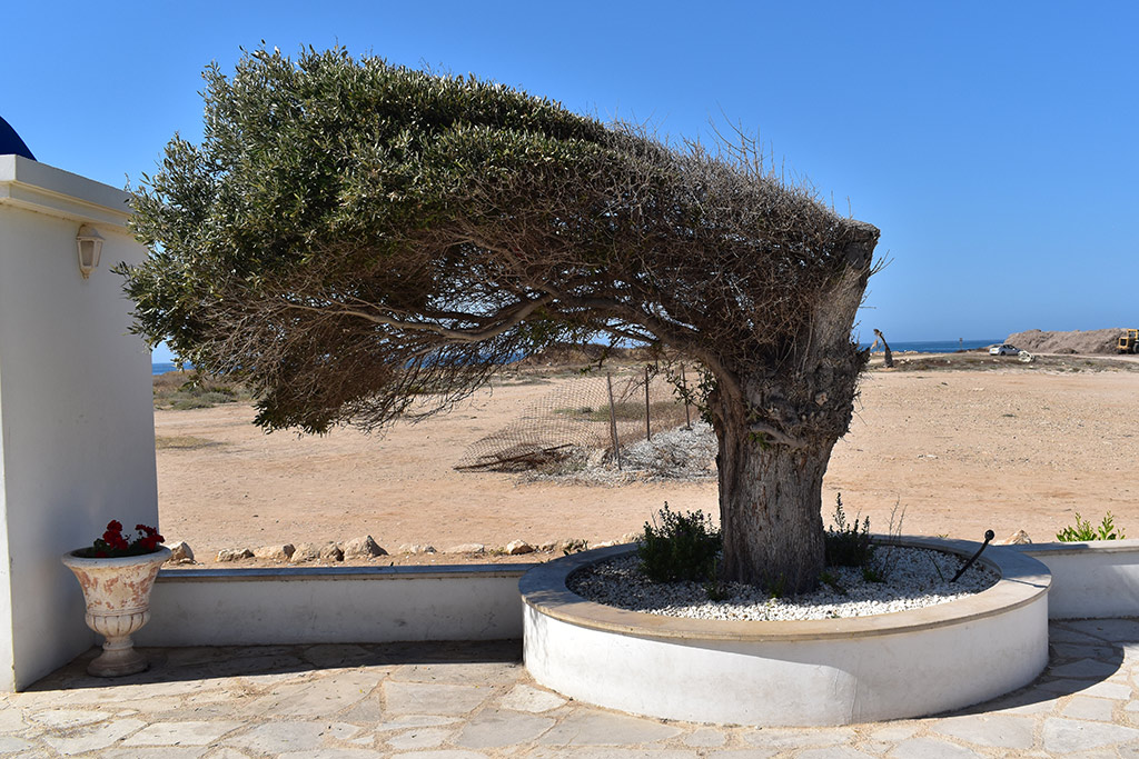 paphos-coast-path-2024-01_22