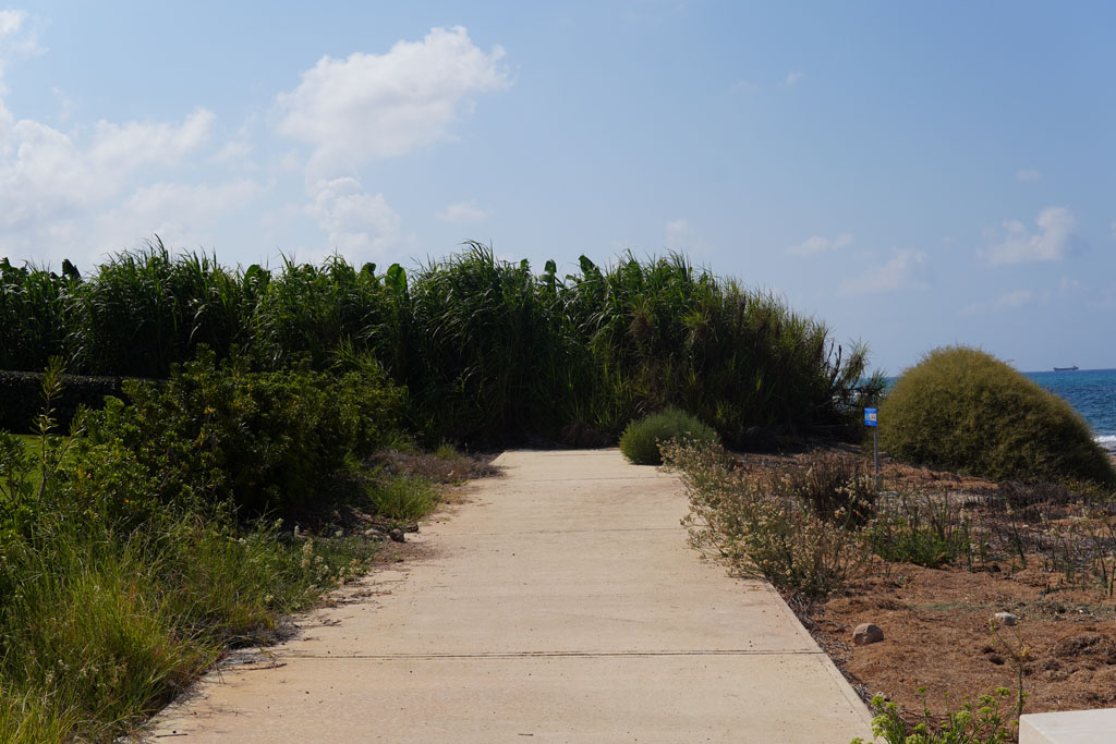 Paphos-coast-path-the-missing-link 25 paphos-coast-path-the-missing-link_25