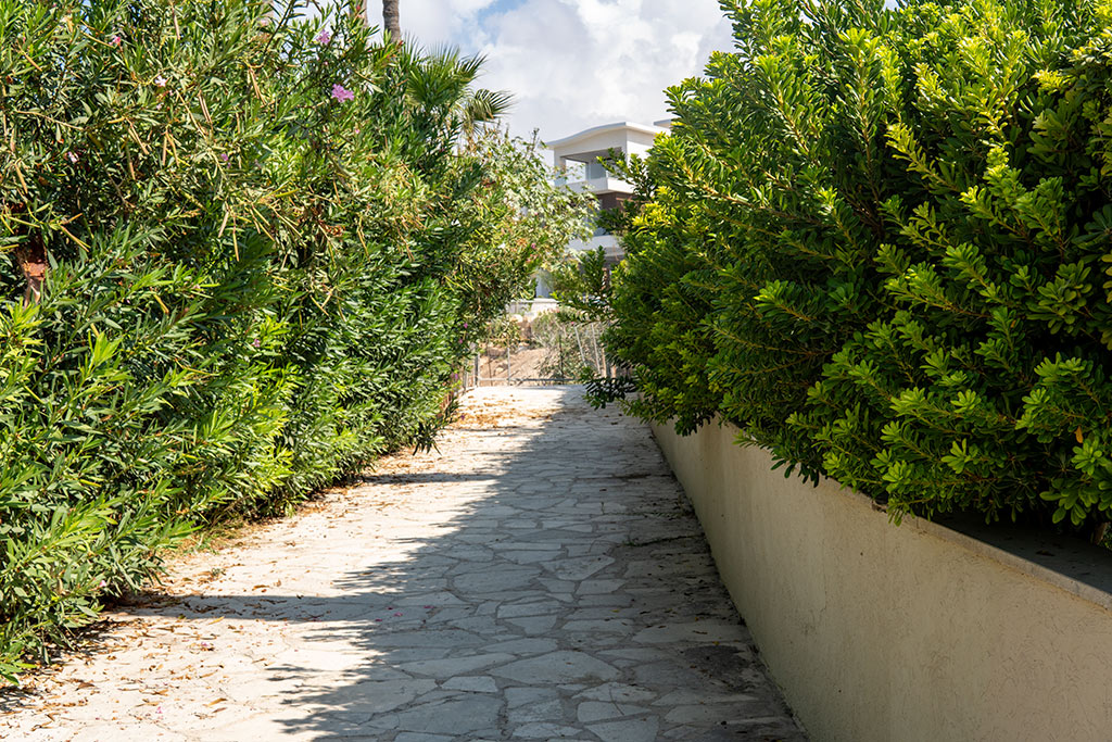 Paphos-coast-path-the-missing-link 31 paphos-coast-path-the-missing-link_31
