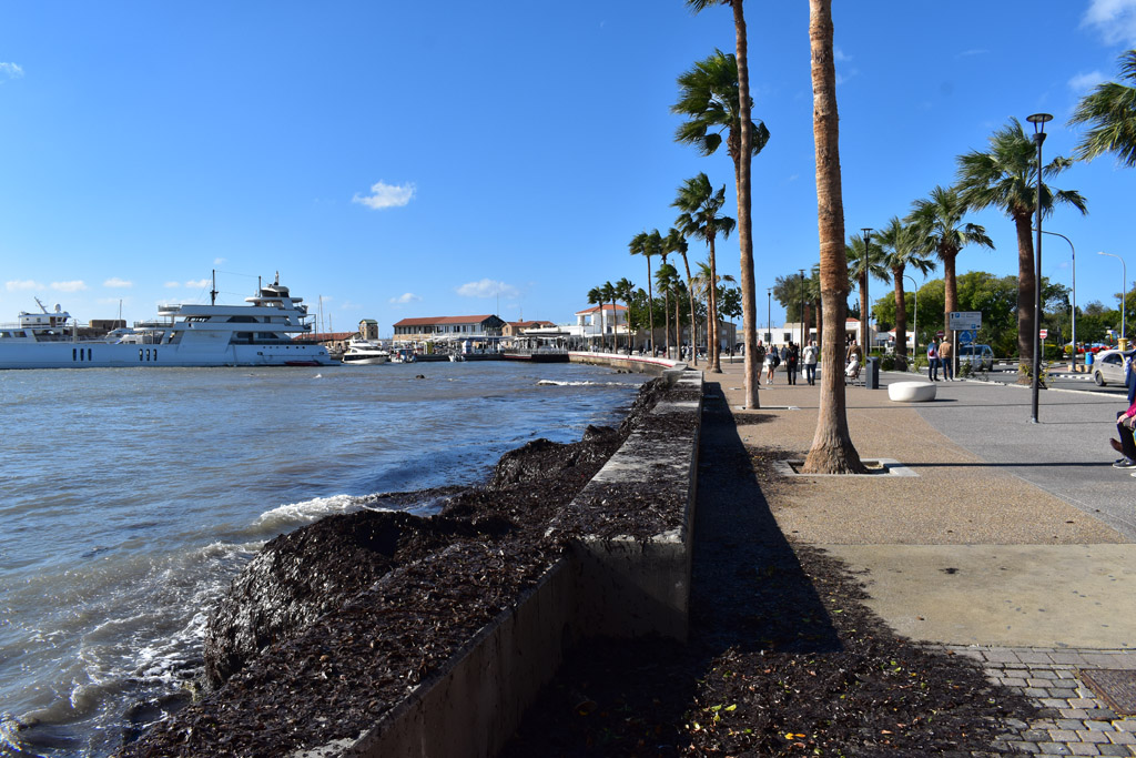 paphos-november-gale_20