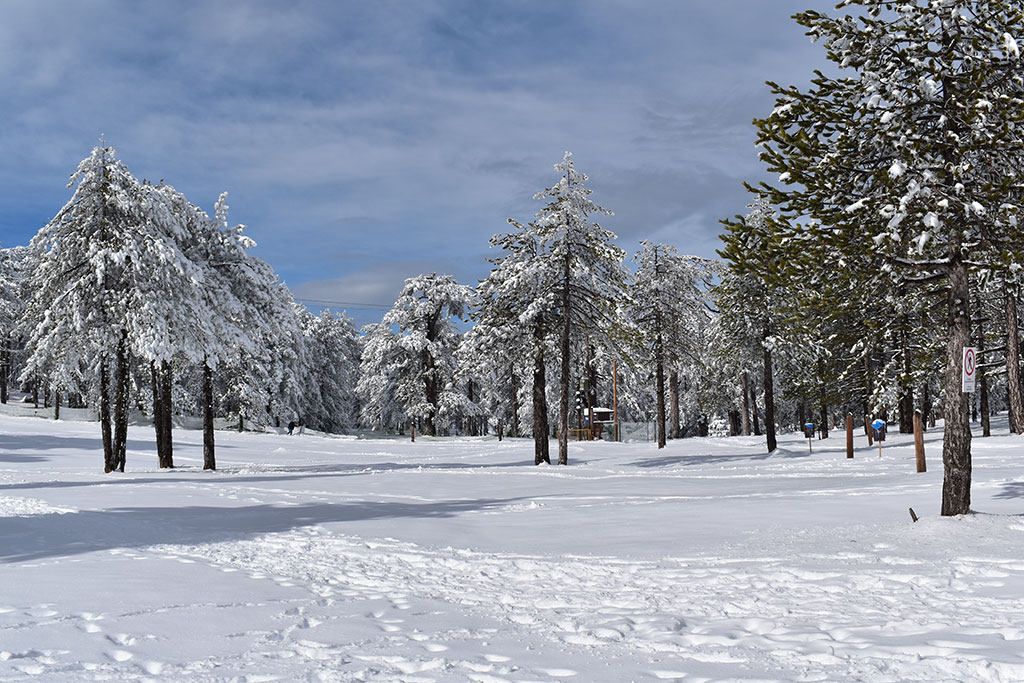 troodos-winter-wonderland-2024_05