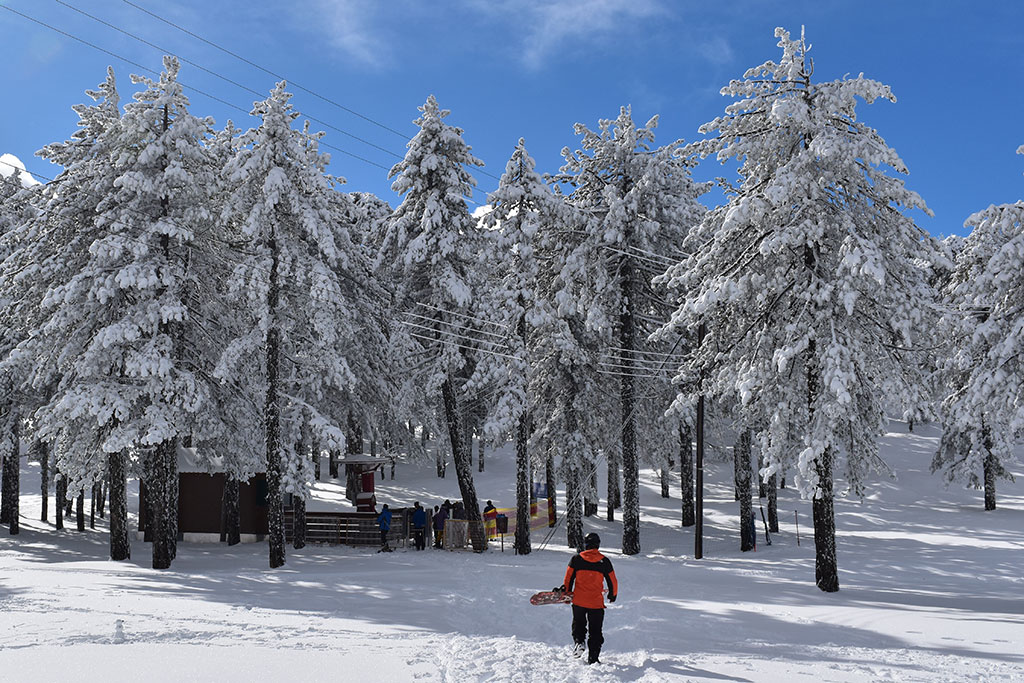 troodos-winter-wonderland-2024_06