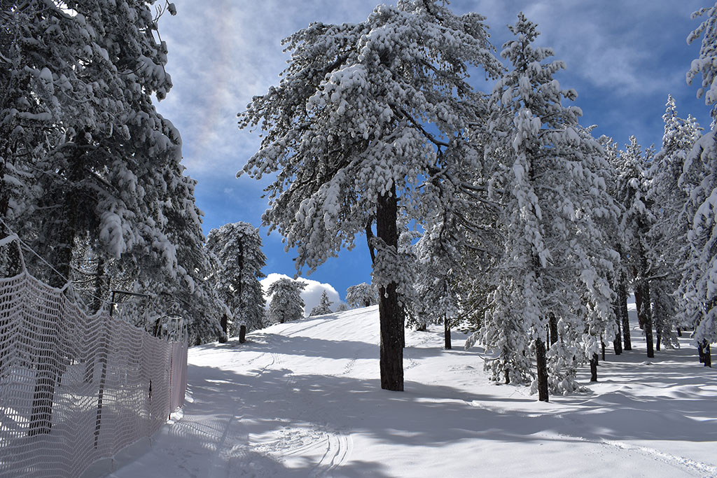 troodos-winter-wonderland-2024_07