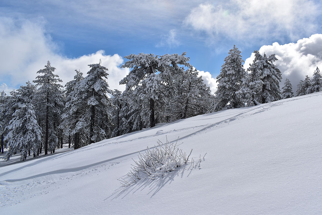 troodos-winter-wonderland-2024_08