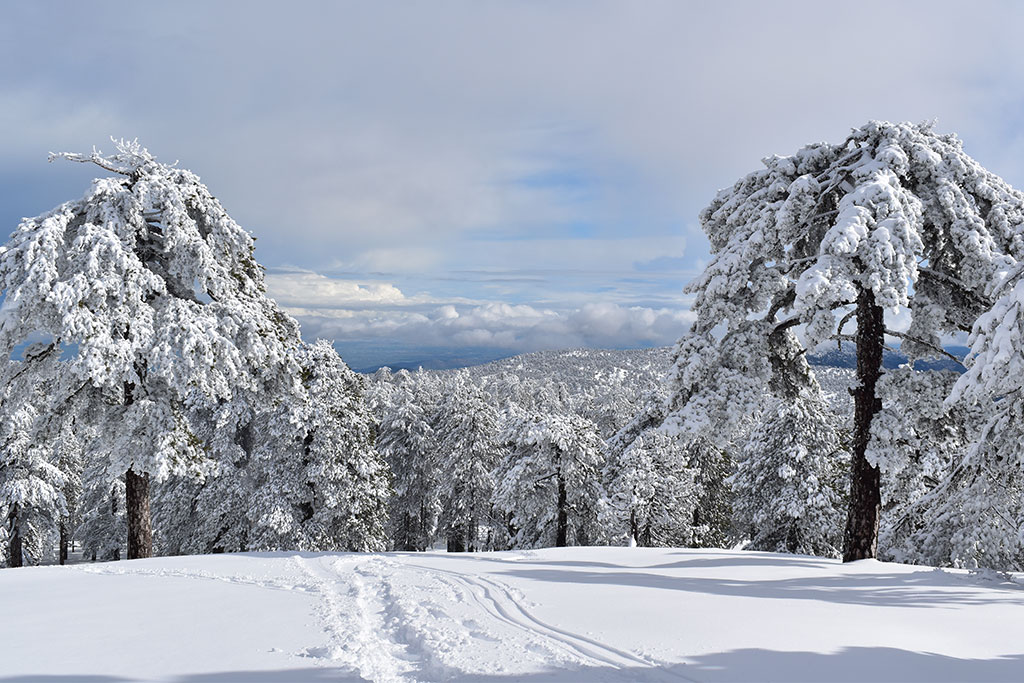 troodos-winter-wonderland-2024_09