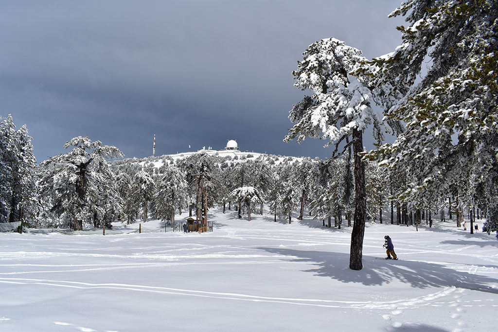 Troodos-winter-wonderland-2024 12 troodos-winter-wonderland-2024_12