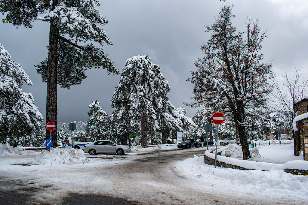 troodos-winter-wonderland-2024_17