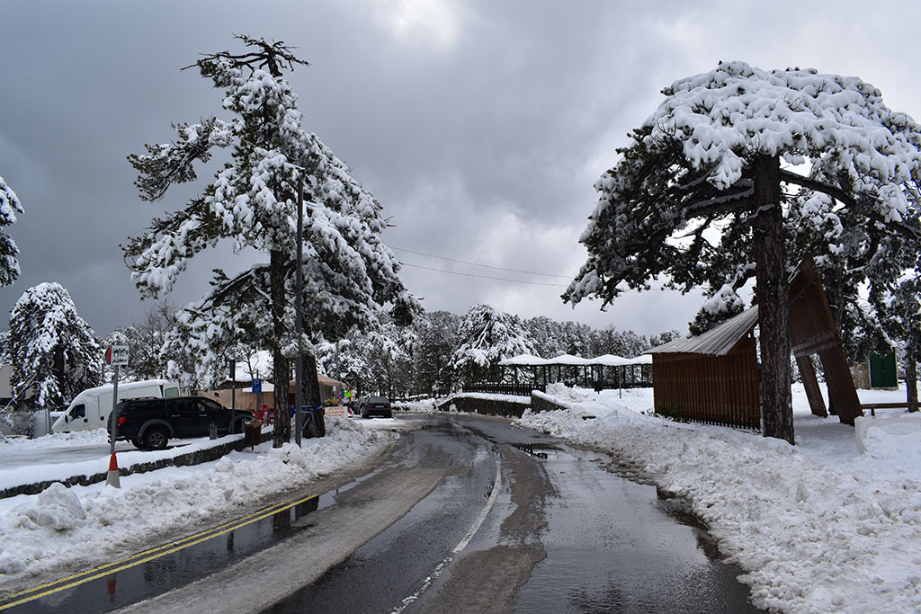 troodos-winter-wonderland-2024_18