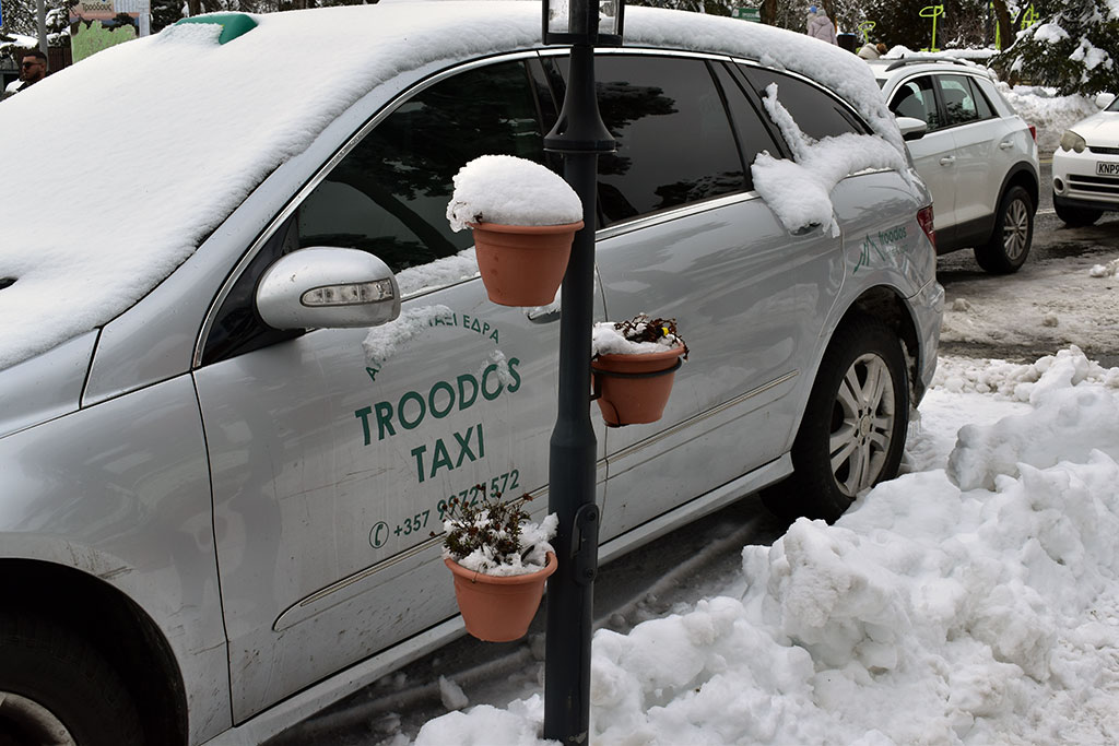 Troodos-winter-wonderland-2024 25 troodos-winter-wonderland-2024_25