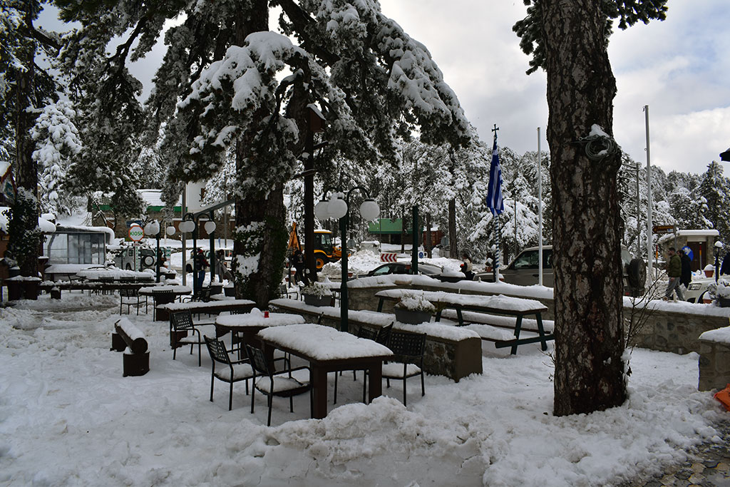 Troodos-winter-wonderland-2024 26 troodos-winter-wonderland-2024_26