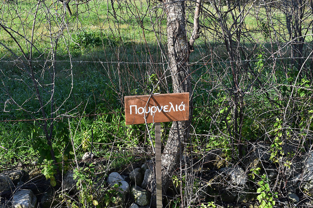 Vournia-nature-trail 07 vournia-nature-trail_07