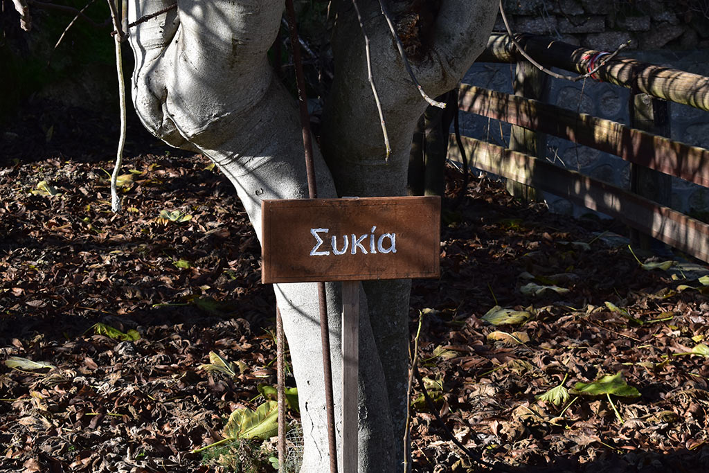 Vournia-nature-trail 09 vournia-nature-trail_09
