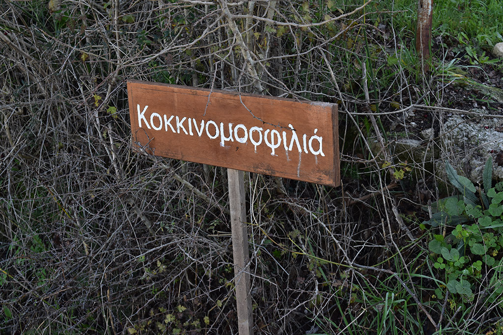 Vournia-nature-trail 15 vournia-nature-trail_15