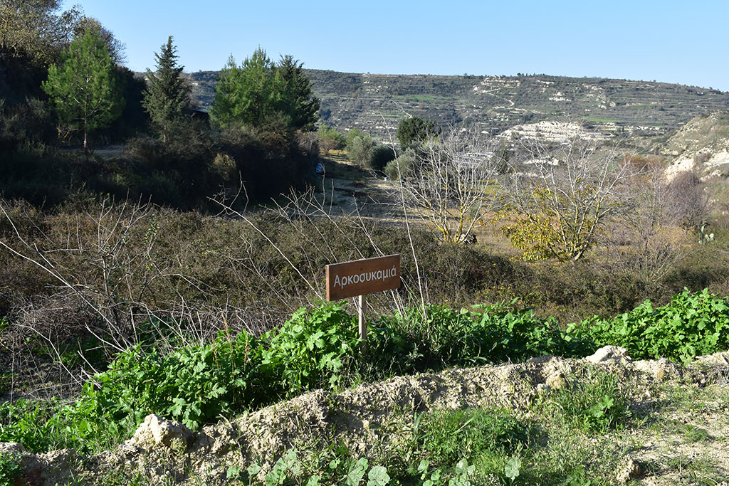 Vournia-nature-trail 16 vournia-nature-trail_16