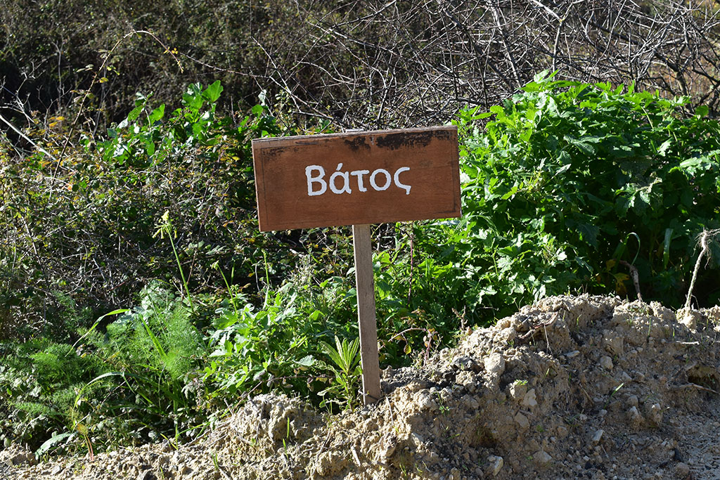 Vournia-nature-trail 18 vournia-nature-trail_18