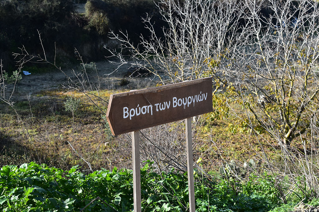 Vournia-nature-trail 19 vournia-nature-trail_19
