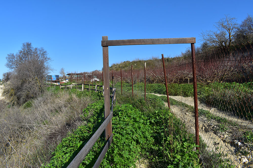 Vournia-nature-trail 23 vournia-nature-trail_23