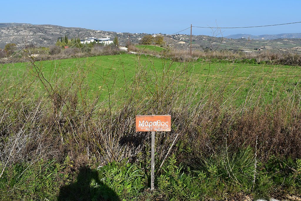 Vournia-nature-trail 31 vournia-nature-trail_31