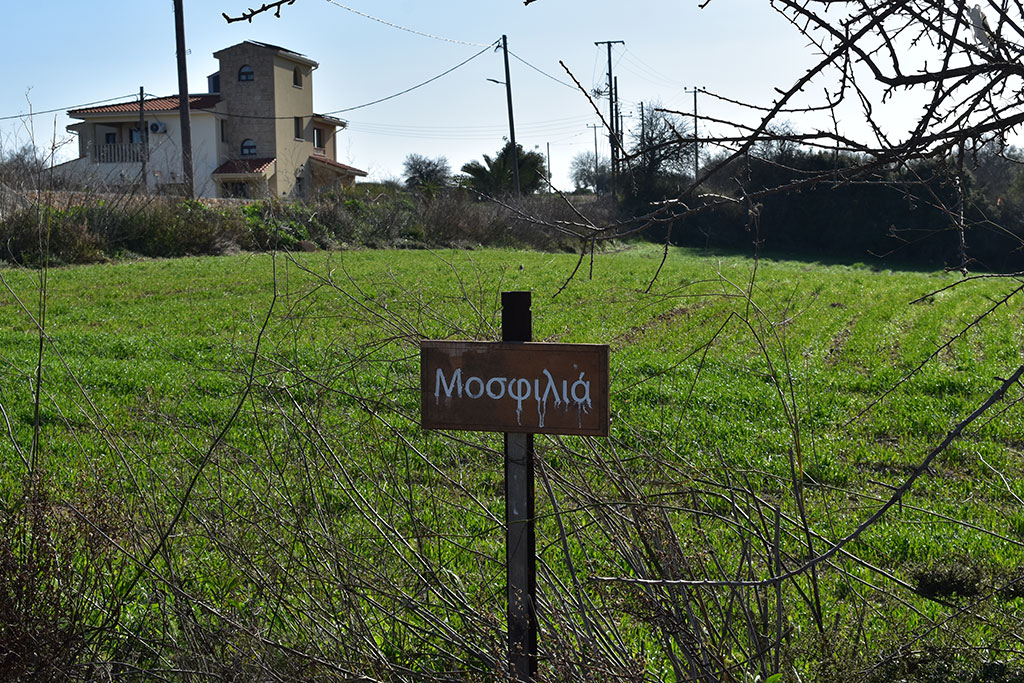 Vournia-nature-trail 33 vournia-nature-trail_33