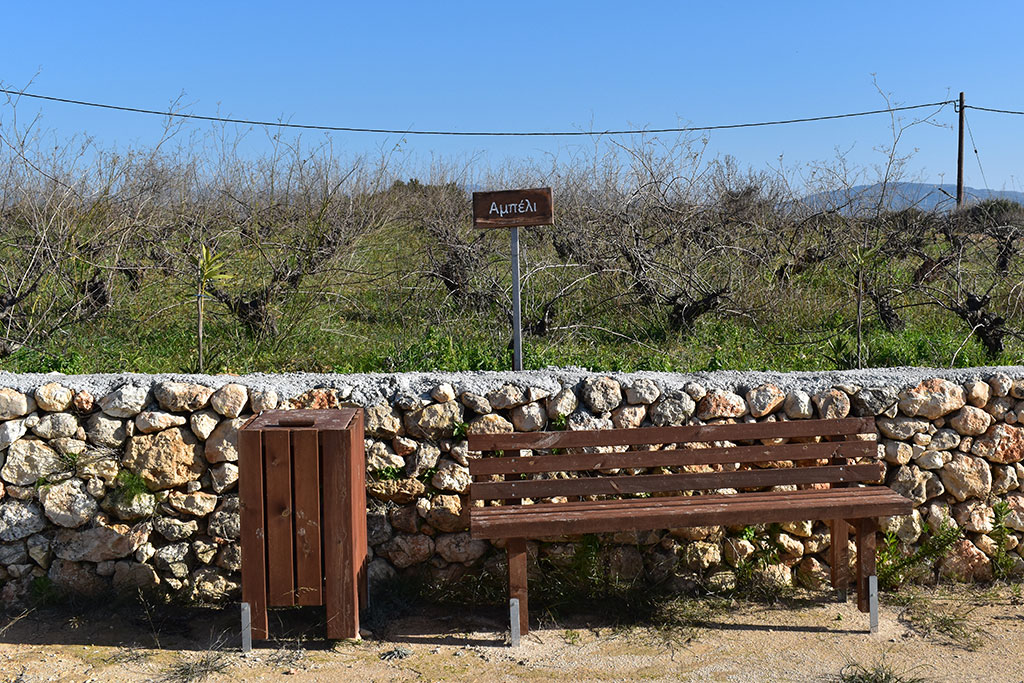 Vournia-nature-trail 35 vournia-nature-trail_35