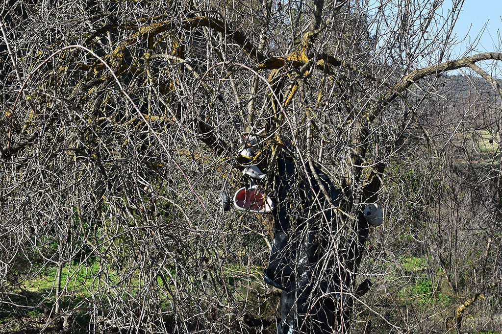 Vournia-nature-trail 44 vournia-nature-trail_44