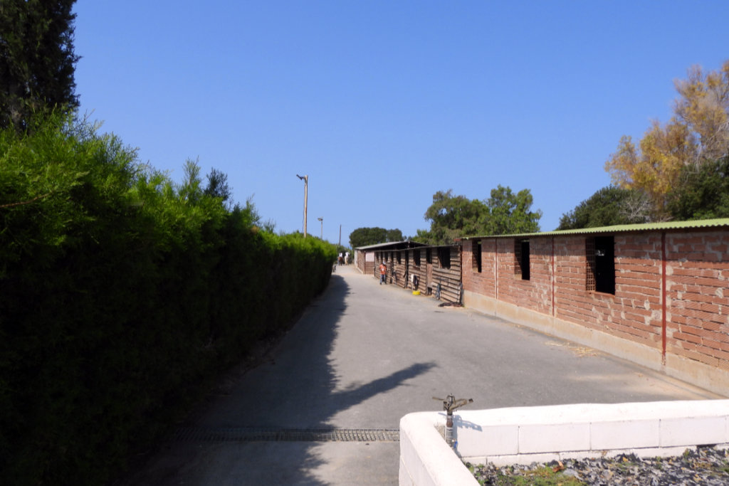 georges-ranch-hack_04