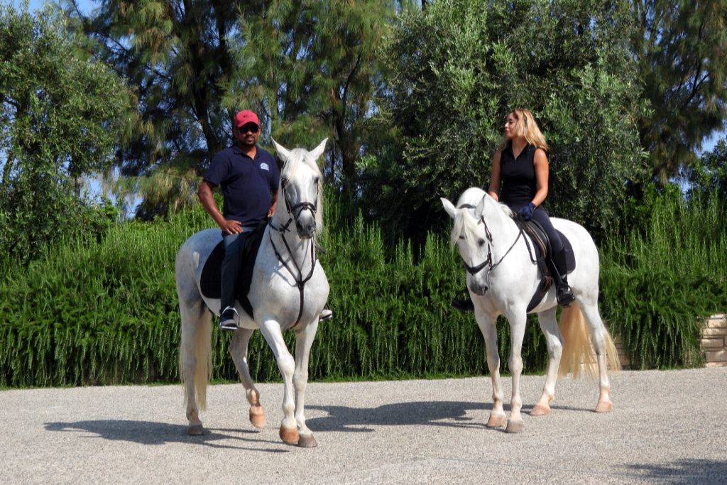 Georges-ranch-hack 11 georges-ranch-hack_11