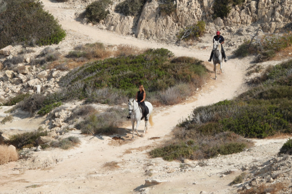 Georges-ranch-hack 22 georges-ranch-hack_22