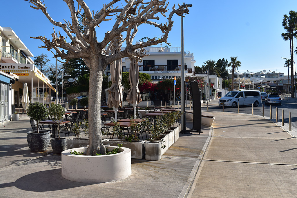 kato-paphos-in-march_19