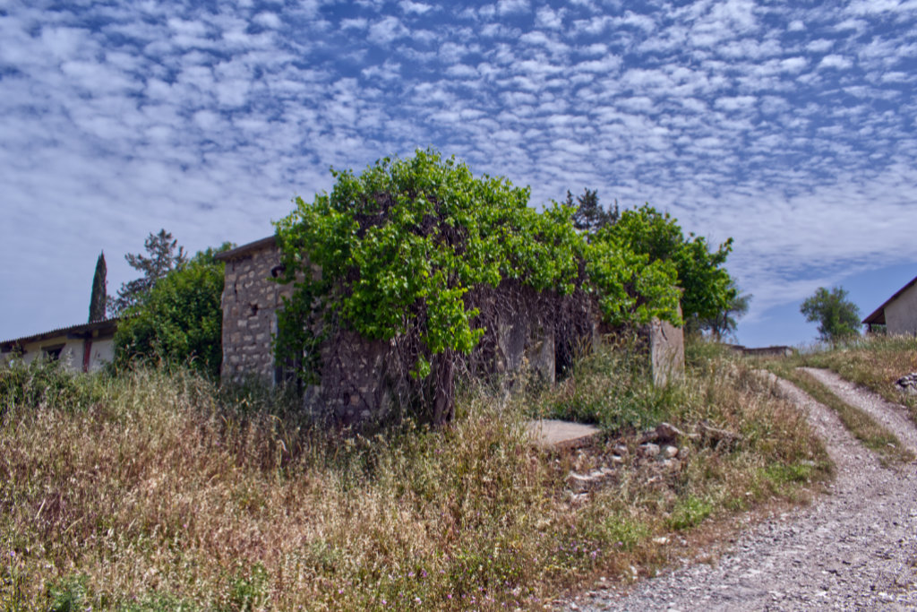 Paphos-country-sightseeing 14 paphos-country-sightseeing_14