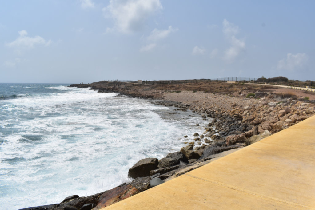 Paphos-seafront-and-harbour-in-may-2025 59 paphos-seafront-and-harbour-in-may-2025_59