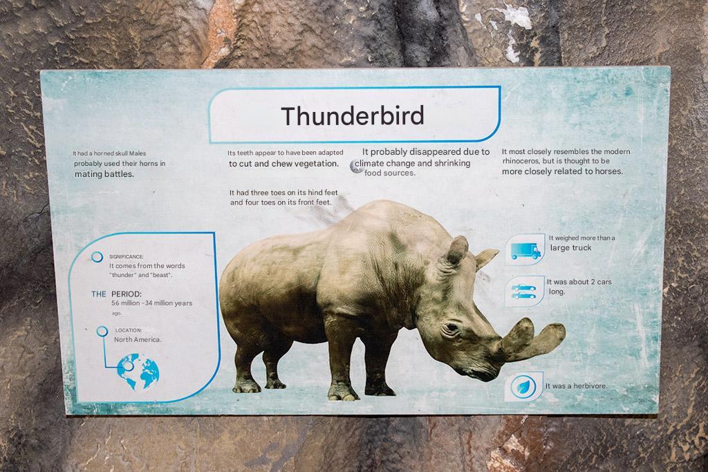 prehistoric-mall_15