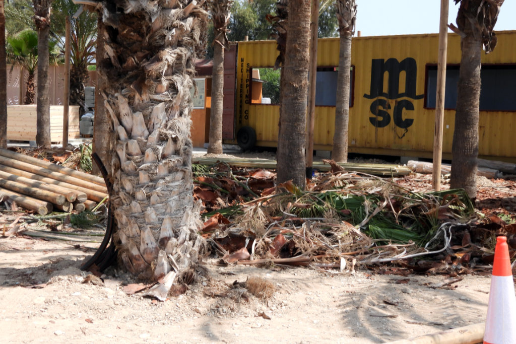 sense-comes-to-potima-bay_03