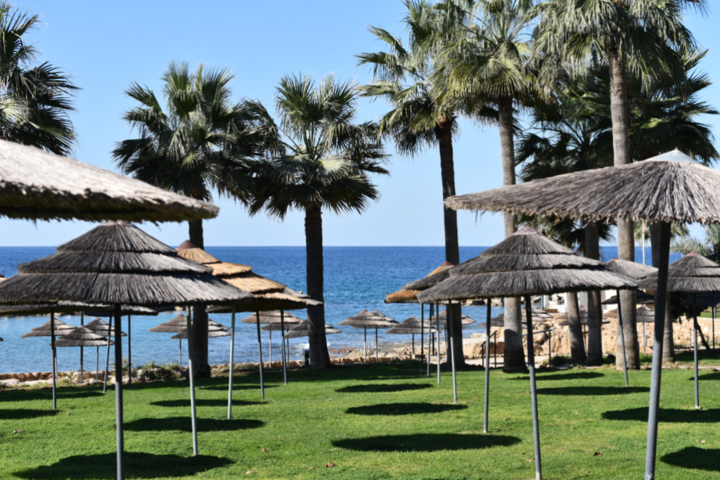 St George's Parasols