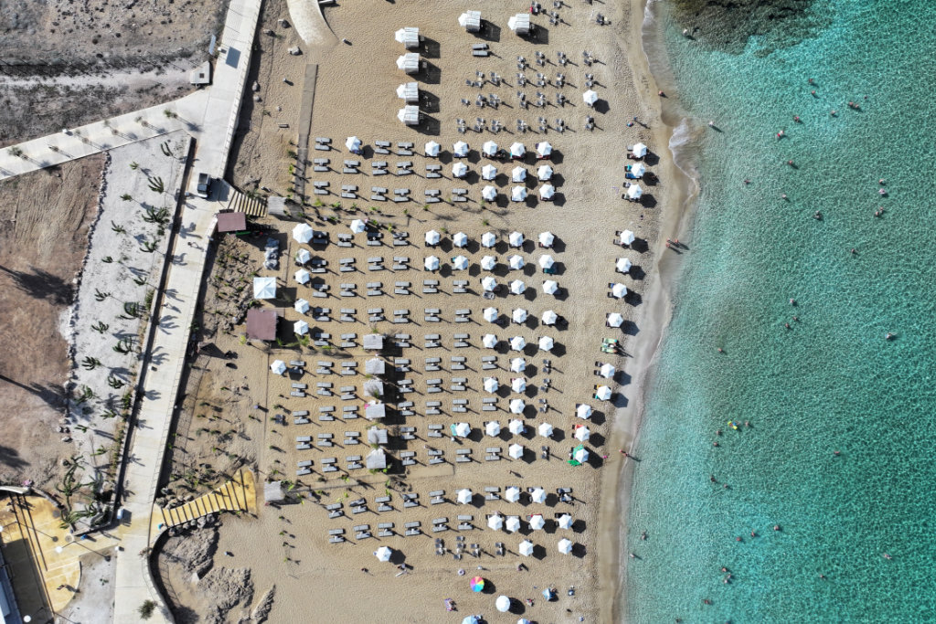 Birds Eye